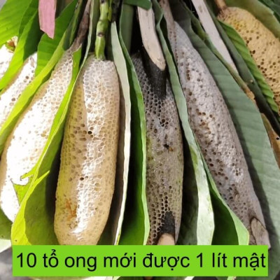 Mật ong ruồi - 500ml, Mật ong tự nhiên quý hiếm, không thể nuôi