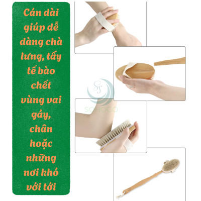 Bàn chải tắm cán dài bằng gỗ tự nhiên - Bàn chải massage cơ thể cao cấp - Cọ tắm khô & ướt cán dài tiện lợi - Bàn chải chà lưng chống tế bào chết - Bàn chải tắm toàn thân spa tại nhà