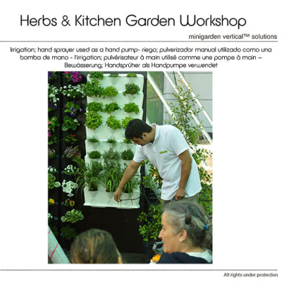 Chậu Treo Trồng Rau Ban Công Đứng Minigarden (Set 10 Bộ) nhập khẩu Châu Âu kèm hệ thống tưới nhỏ giọt bán tự động với năng suất rau cao