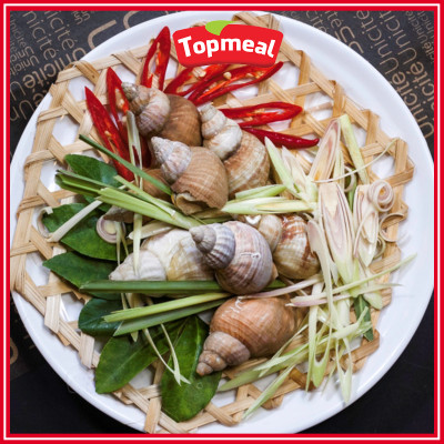 HCM - Ốc Bulot (500g) - Thích hợp với các món nướng mắm tiêu, nướng mọi, hấp sả, rang muối,... - [Giao nhanh TPHCM]