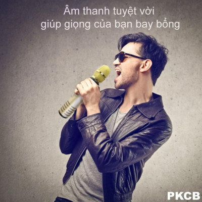 Micro Hát Karaoke Kết Nối Bluetooth Không Dây Âm Thanh Chân Thực Sống Động PKCB - Hàng Chính Hãng