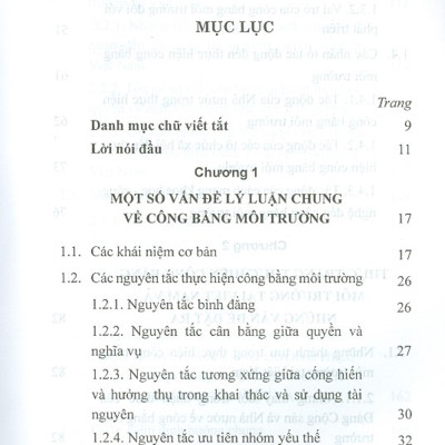 Thực Hiện Công Bằng Môi Trường Tại Việt Nam Hiện Nay - Một Số Vấn Đề Lý Luận Và Thực Tiễn (Sách Chuyên Khảo)