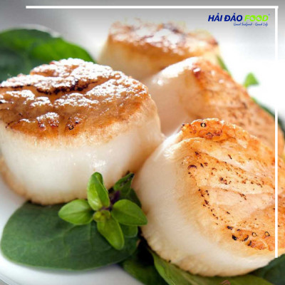 Cồi Sò Điệp Nhật Size 20-25 Cồi/Kg - 1 Kg