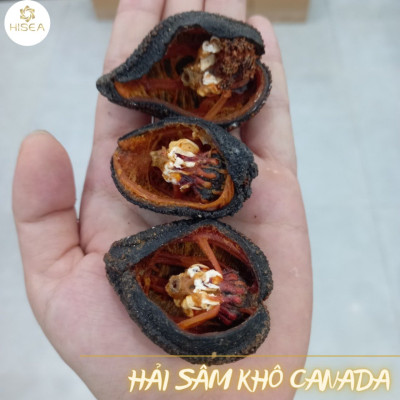 Hải sâm Canada khô ( size 9-10 con)- 100g