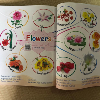 Bộ 2 Cuốn 1001 Mẫu Câu Tiếng Anh Giao Tiếp Thông Dụng Và Chinh Phục Từ Vựng Tiếng Anh Theo Sơ Đồ Tư Duy Mind Map