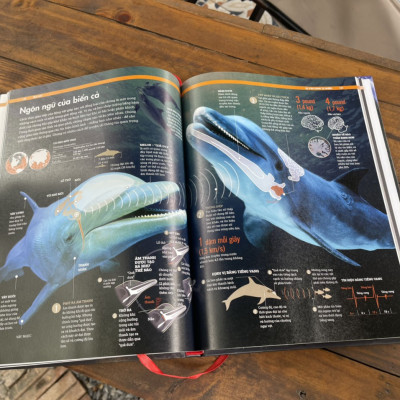 (Bìa cứng in màu toàn bộ) TRÁI ĐẤT - OUR EARTH - SỰ VẬN HÀNH TỰ NHIÊN – Nuria Cicero – Nhật Minh dịch -Á Châu Books – NXB Lao Động