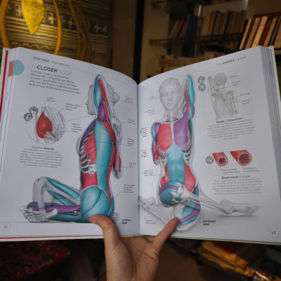 Sách - Science Of Yoga by Ann Swanson - Sách Sức Khoẻ, Rèn Luyện & Ăn Kiêng tiếng Anh - Health/Nonfiction/Science