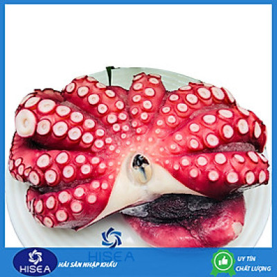 Bạch tuộc Nissi size ( 1.6 - 2kg/con ) - 1kg