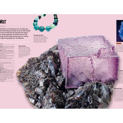 Đá Quý Và Khoáng Sản - Bìa Cứng (Tái Bản)