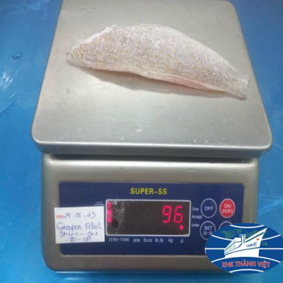 CÁ MÚ FILLET 80- UP