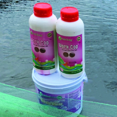 Khống chế nấm đồng tiền ao tôm WORK COP Plus