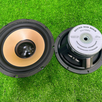 CỦ LOA BASS RỜI 20 COIL 38 TỪ 120 GÂN CAO SU TRỞ KHÁNG 4 OHM CHUYÊN LẮP RÁP LOA KÉO, KARAOKE, NGHE NHẠC HÀNG CHÍNH HÃNG HẢI TRIỀU (GIÁ 1 CÁI)