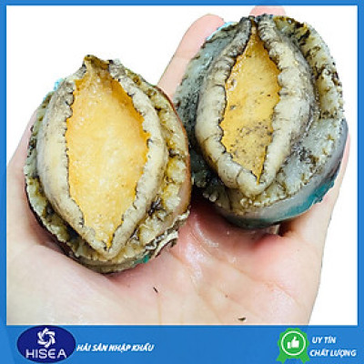 Bào ngư Chile ( size : 10-12 con)- 1kg