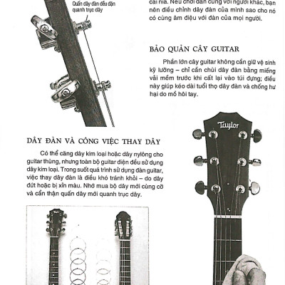 Chơi Đàn Guitar Bằng Hình Ảnh