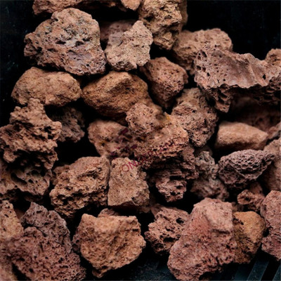 1Kg Vật liệu lọc hồ cá: bông 8D, men vi sinh hồ cá PSB 100ML cao cấp