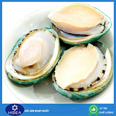 Bào ngư Úc viền xanh ( size :11-12 con )- 1kg