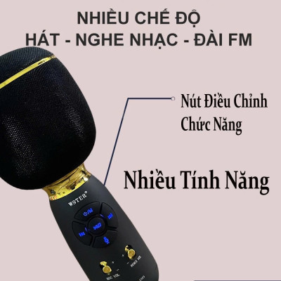 Micro Karaoke kèm loa Bluetooth - Hàng chính hãng