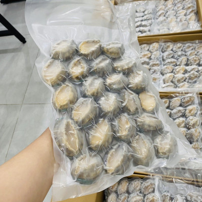 Bào ngư Chile ( size 20-24 con)- 1kg