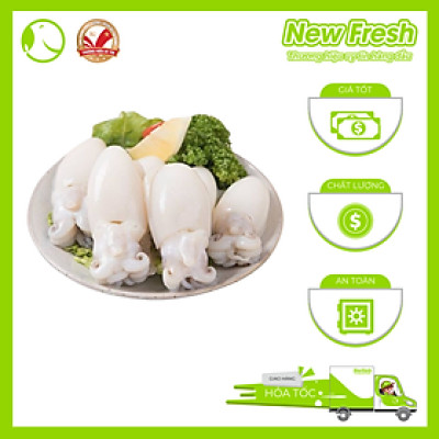 [GIAO NHANH HCM] Mực Nang Nút Làm Sạch - Túi 1Kg (10-20 con)