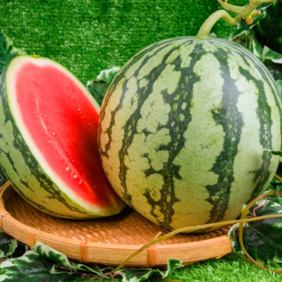 [Chỉ Giao HCM] - Dưa hấu ruột đỏ không hạt (3 - 5 kg/trái)