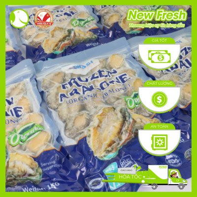 [GIAO NHANH HCM] Bào Ngư Đông Lạnh Nissi - Túi 1Kg (10-12 con)