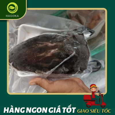 Cá bớp cắt khoanh HAGOKA từ biển Nam Du cá tươi