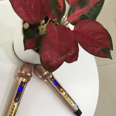 Micro cao cấp kèm bo tần số - dùng cho loa kéo - Hàng chính Hãng