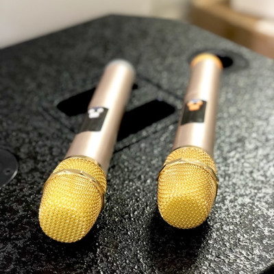 Loa kéo di động karaoke Rinton PL2 400W - hàng chính hãng 