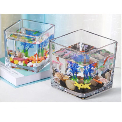 Bình thủy tinh trong suốt khối vuông đa năng