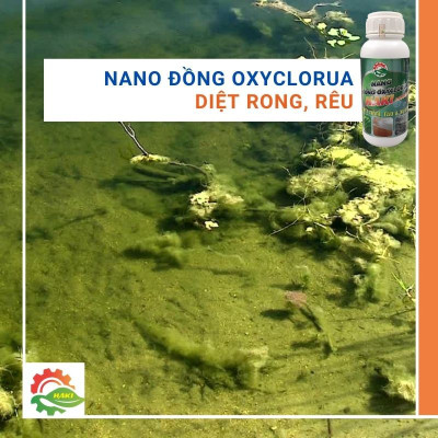 Nano đồng xử lý nước cho ao nuôi và bể cá cảnh . Chai  500ml nano đồng oxyclorua Haki chuyên diệt nấm, diệt rêu, cắt tảo, xử lý nước