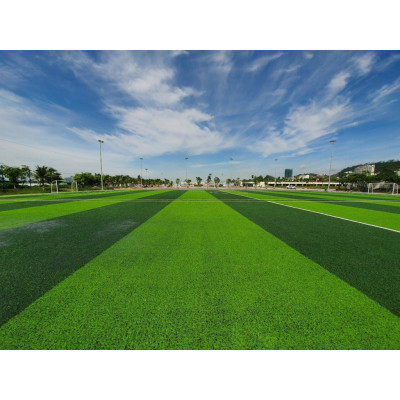 Thảm cỏ nhân tạo 3cm -Cây giả, hoa lụa Decor trang trí nhà cửa