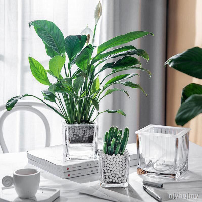 Bình thủy tinh trong suốt khối vuông đa năng