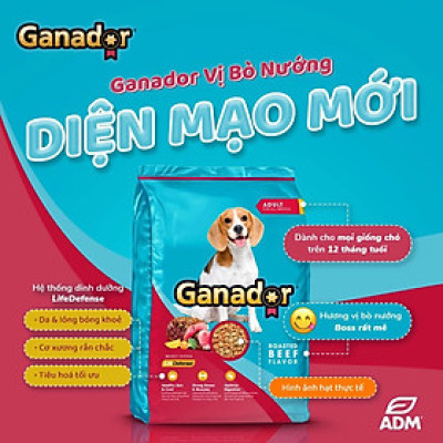 Thức Ăn Hạt Cho Chó Lớn Vị Thịt Bò Ganador Adult Roasted Beef Gói 3kg