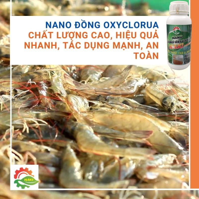 Nano đồng xử lý nước cho ao nuôi và bể cá cảnh . Chai  500ml nano đồng oxyclorua Haki chuyên diệt nấm, diệt rêu, cắt tảo, xử lý nước