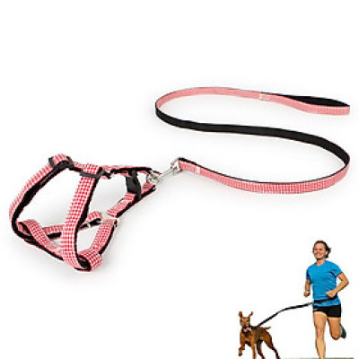 Dây dắt yên ngựa in hoa 1 mặt 2 lớp - dây dắt chó mèo size 1.0 (chó mèo dưới 5kg) màu ngẫu nhiên