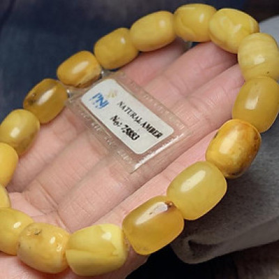 Vòng Hổ Phách Balan vàng cao cấp Hadosa