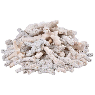 San Hô Vụn túi 1KG  + 1 túi lưới đựng vật liệu lọc cho bể cá