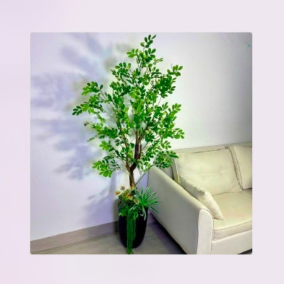 Cây thần diệu giả 170cm không chậu trang trí, decor nhà cửa, quán cafe