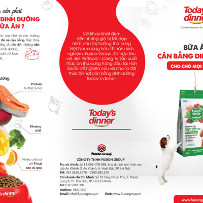 [ 5KG ] Thức ăn hạt cho chó mọi lứa tuổi TODAY