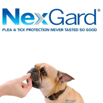 1 hộp NexGard trị ghẻ, viêm da, ve rận (chó từ 10 - 25kg, 6 viên nhai)