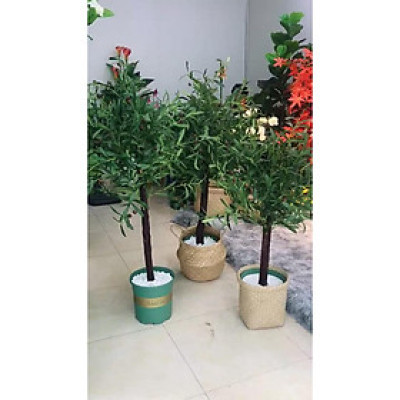 Cây oliu giả - thân gỗ - Size từ 80cm đến 130cm - Cây giả, hoa lụa Decor trang trí nhà cửa
