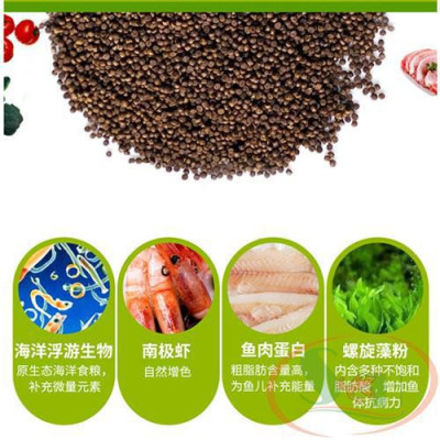 Thức ăn cá biển Biozym Marine Fish Food BD1101 hạt tăng trưởng màu sắc cá biển