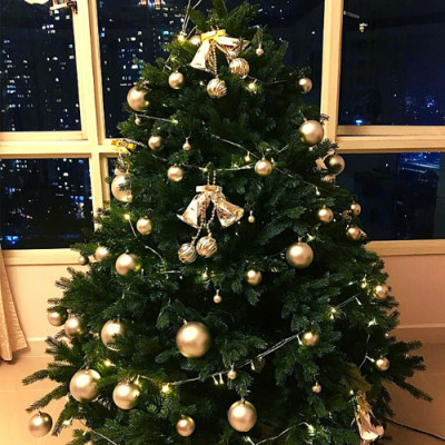 Cây thông Pe cao cấp 2m - Cây thông noel PE -  Cây tự động bung cành