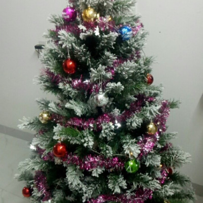 Cây thông noel 3 loại lá phủ tuyết cao 180cm - Tán dày và đẹp, cây thông chắc chắn, dể tháo lắp