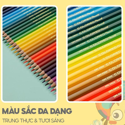 Hộp 24 Bút Chì Màu Kèm Chuốt Chì - Thiên Long CPC-C021