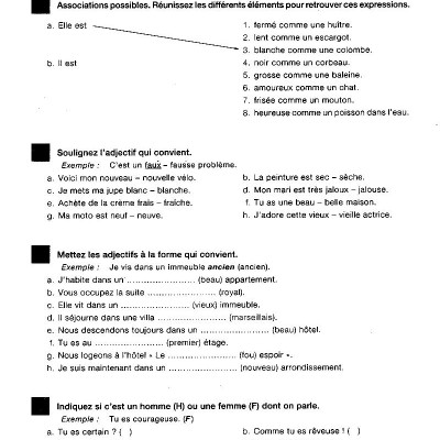 450 Nouveaux Exercices - Grammaire (Niveau Débutant)