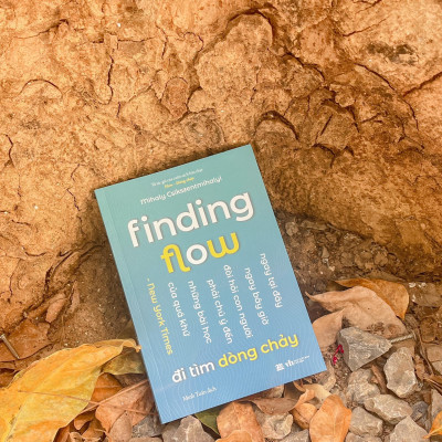 Finding Flow - Đi Tìm Dòng Chảy