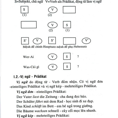 Cách Cấu Tạo Câu Tiếng Đức (Tái Bản 2024)