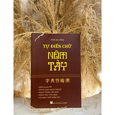 Sách TỰ ĐIỂN CHỮ NÔM TÀY – Tống Đại Hồng
