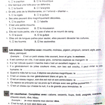 450 Vocabulary Niveau Intermediare